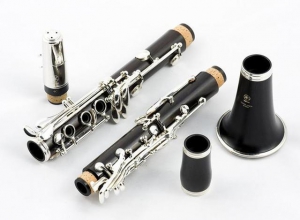 初学者怎么练习才能学好单簧管？